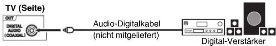 ORION TV24LW890 - Anschluss an digitale Audio-Verstärker - 1