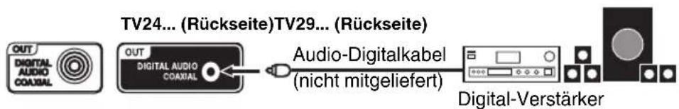 ORION TV24LBS124S - Anschluss an digitale Audio-Verstärker - 1
