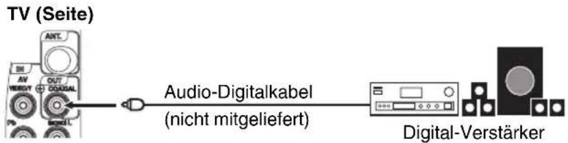 ORION TV24LB880 - Anschluss an digitale Audio-Verstärker - 1