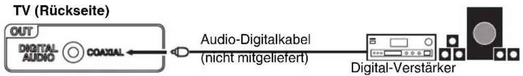 ORION TV22LW122S - Anschluss an digitale Audio-Verstärker - 1