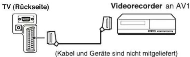 ORION TV22LW800-H - Videorecorder anschließen (z.B. um von DVB-T aufzunehmen) - 1