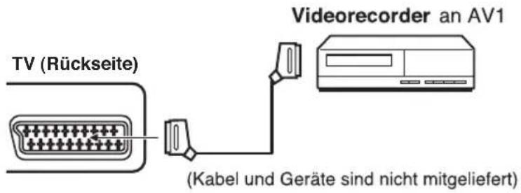 ORION TV19PL175DVD - Videorecorder anschließen (z.B. um von DVB-T aufzunehmen) - 1