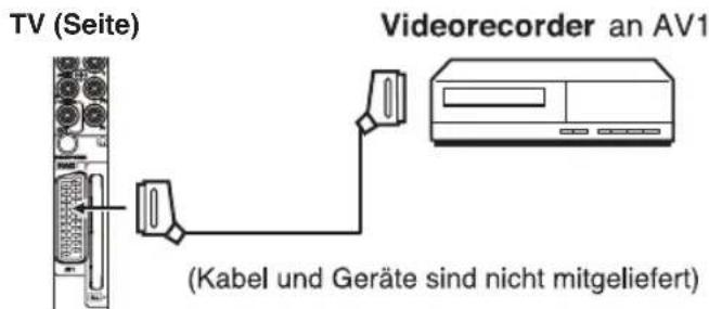 ORION TV19LB500 - Videorecorder anschließen (z.B. um von DVB-T aufzunehmen) - 2