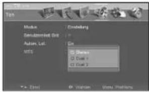 DAEWOO DLP-3022 - Stereoinstellungen - 7