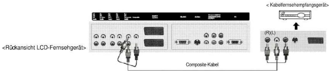 Kabelfernsehempfangsgerät. Composite-Kabel. (R)(L).
