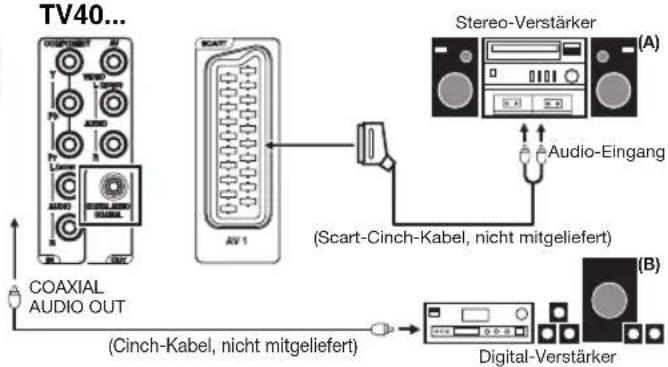 ORION TV40FX6900 - Hinweis(e): - 2