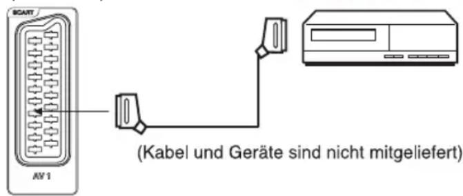 ORION TV40FX6900 - Videorecorder anschließen (z.B. um von DVB-T aufzunehmen) - 1