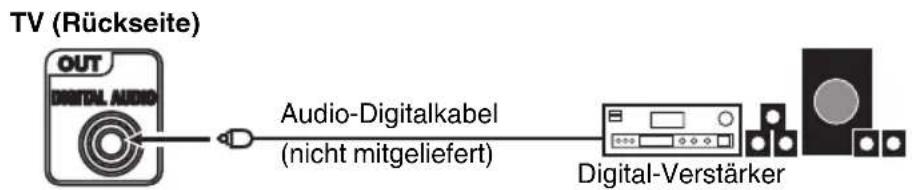 ORION TV32LB132S - Anschluss an digitale Audio-Verstärker - 1