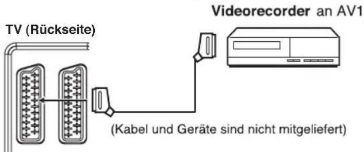 ORION TV26PW177DVD - Videorecorder anschließen (z.B. um von DVB-T aufzunehmen) - 1