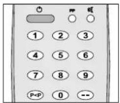 DUAL DTV 2850-1 - Programmtausch (P<P) - 1