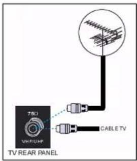 DUAL DTV 1450-3 - Anschlussmöglichkeiten an der RF-Eingangsbuchse - 1
