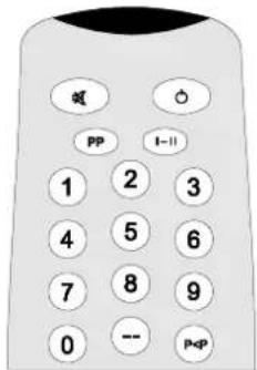 DUAL DTV 1450-2 - Programmtausch (P<P) - 1
