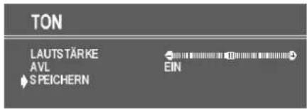 DUAL DTV 2050-1 - Einstellungen speichern - 1