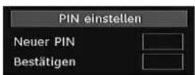 DUAL DTFT 26-5 - PIN einstellen - 1