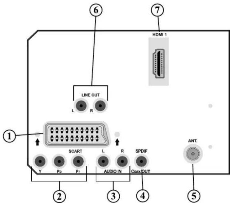 DUAL DTFT 15-2 - Ansicht der Anschlüsse – Anschlüsse an der Rückseite - 1