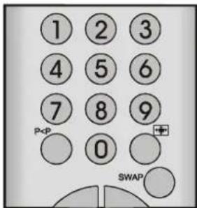 DUAL DPTV 4210 - TV-Status - 2