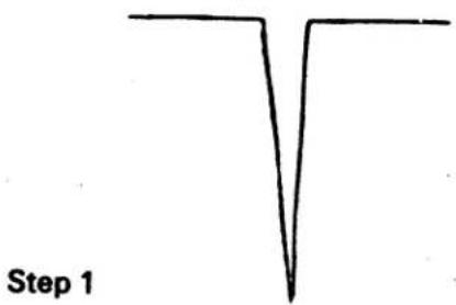 SINGER 1021 - TOPSTITCHING - 2