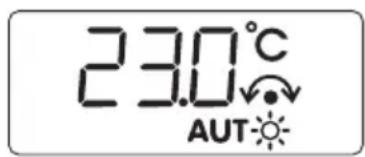 BUDERUS RC20 - ANWENDERHINWEIS - 2