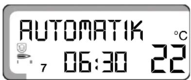 BUDERUS Logamatic 2107 M - Standardanzeige ändern - 2