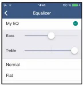 TECHNISAT DigitRadio MR1 - Equalizer - 1