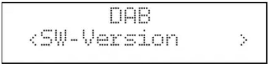TECHNISAT DigitRadio 210 BR Heimat Edition - Software-Version - 1
