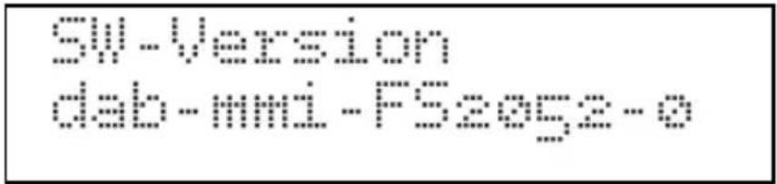 TECHNISAT DigitRadio 210 BR Heimat Edition - Software-Version - 2