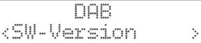 TECHNISAT DigitRadio 212 - Software-Version - 1