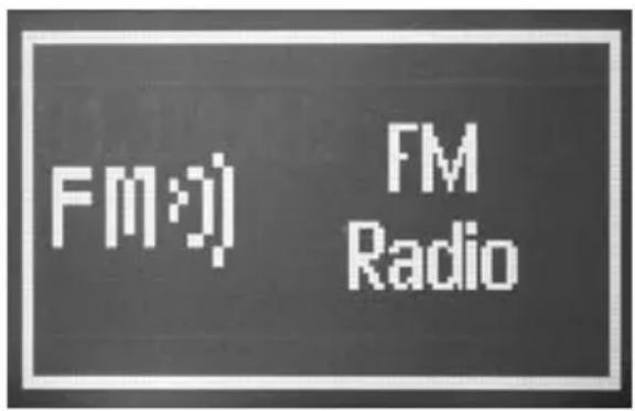 TECHNISAT DigitRadio 210 IR HIT Edition - FM-Betrieb - 1