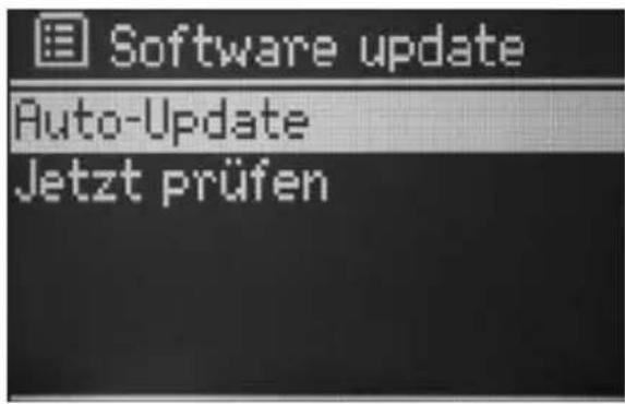 TECHNISAT DigitRadio 210 IR HIT Edition - Software-Update - 1