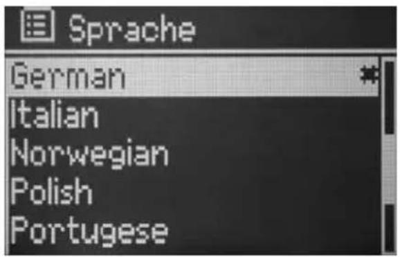 TECHNISAT DigitRadio 210 IR HIT Edition - Sprache - 1