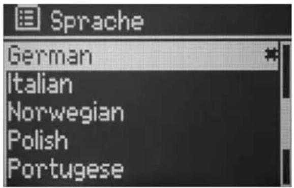 TECHNISAT DigitRadio 210 IR HIT Edition - Sprache - 1