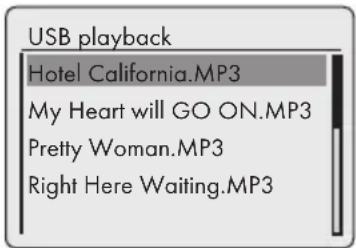 USB playback Hotel California.MP3 My Heart will GO ON.MP3 Pretty Woman.MP3 Right Here Waiting.MP3