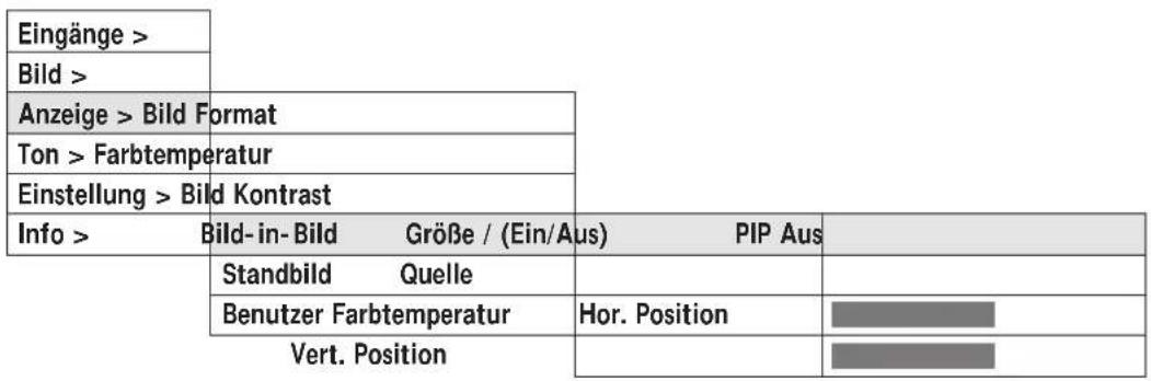 MEDION MD5917 - Untermenü ANZEIGE für PC Signale - 1
