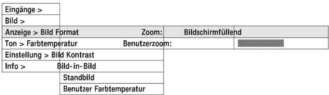 MEDION MD5917 - Untermenü ANZEIGE für Video Signale - 1