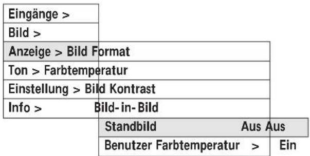 MEDION MD5917 - Untermenü ANZEIGE für PC / Video Signale - 1