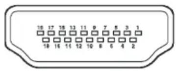 MEDION MD20031 - PC-RGB-Buchse (D-Sub 15-Pin) - 2