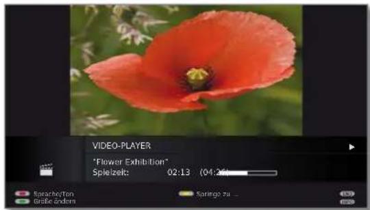 LOEWE Connect 32 3D - Video-Statusleiste - 2