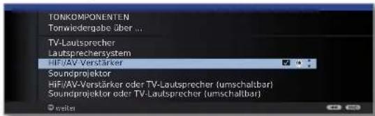 LOEWE Connect 32 3D - Audio-Verstärker anschließen - 3