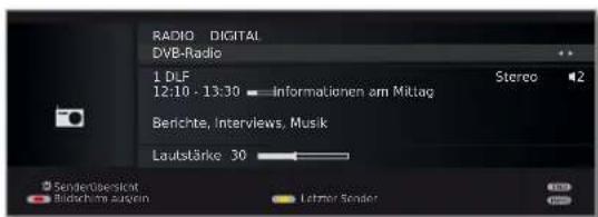 LOEWE Connect 32 3D - Radio-Betriebeinschalten - 5
