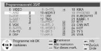 LOEWE Aventos 3970 ZW - Programme für EPG auswählen - 1