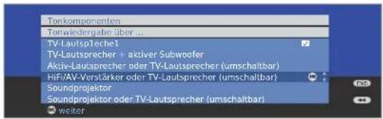 LOEWE ART 37SL - Audio-Verstärker anschließen - 3