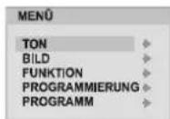 DUAL DTV-DVD 1450-4 - Menüstruktur - 7