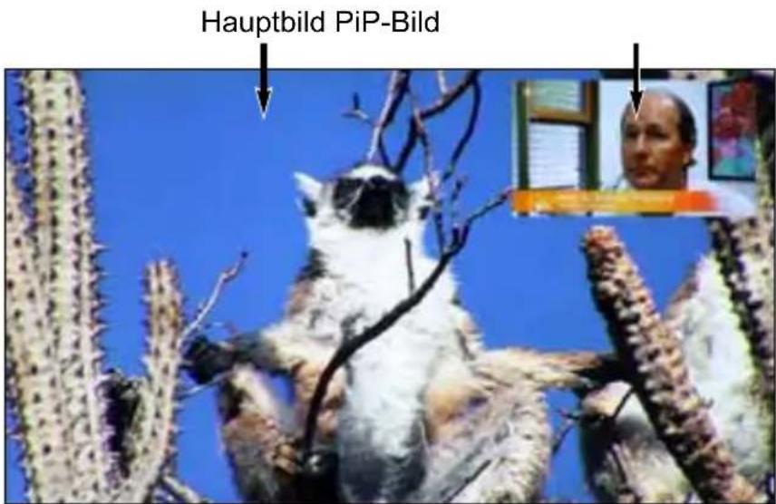 Hauptbild PiP-Bild