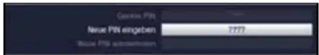 Current PIN Neue PIN eingeben 7777 Moule PINs überpassiertem