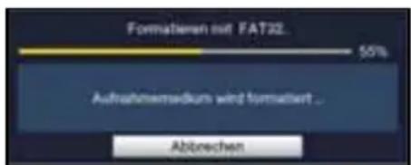 Formatheren mit FAT32. 55% Aufnahmammedium wird formuliert . Abgrenchen