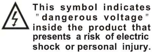 This symbol indicates "dangerous voltage" inside the product that presents a risk of electric shock or personal injury.