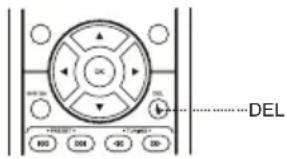 DEL R00 100 200 300