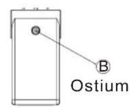 Ostium