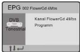 EPG 002 FlowerGd 4Mbs DVB Tenestrial Kanal FlowerGd 4Mbs Programm