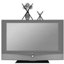 LOEWE Xelos A 37 HD 100 - Bestimmungsgemäßer Gebrauch und Umgebungsbedingungen - 1